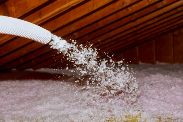 Best Insulation Installation Services in Los Gatos, CA